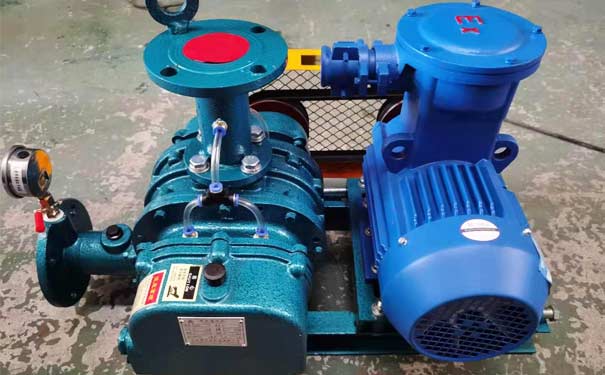 化工行業(yè)羅茨鼓風(fēng)機(jī)工廠實(shí)拍 化工行業(yè)羅茨鼓風(fēng)機(jī)工廠實(shí)拍