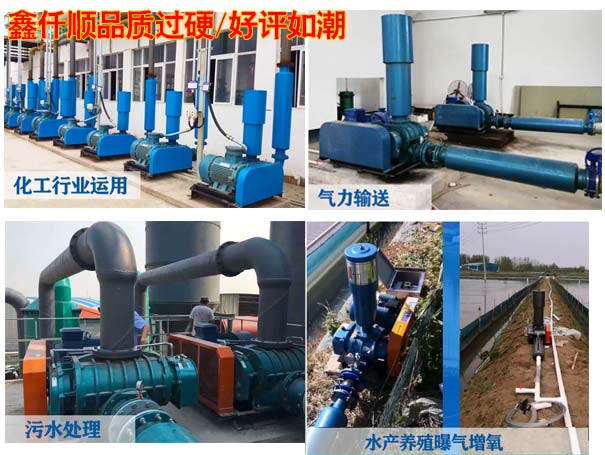 電鍍廠用羅茨風機 電鍍廠用羅茨風機