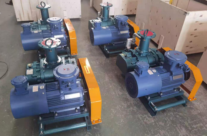 沼氣輸送羅茨風(fēng)機 化工行業(yè)用羅茨風(fēng)機沼氣輸送案例(圖2)