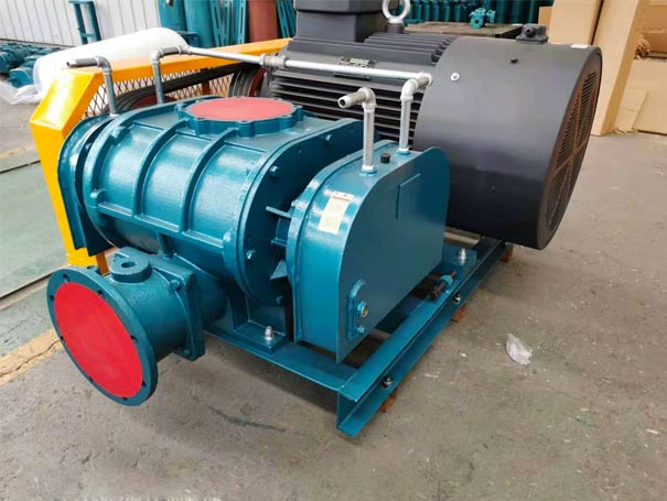 高壓水冷羅茨風(fēng)機工廠實拍圖 高壓羅茨風(fēng)機(圖3)