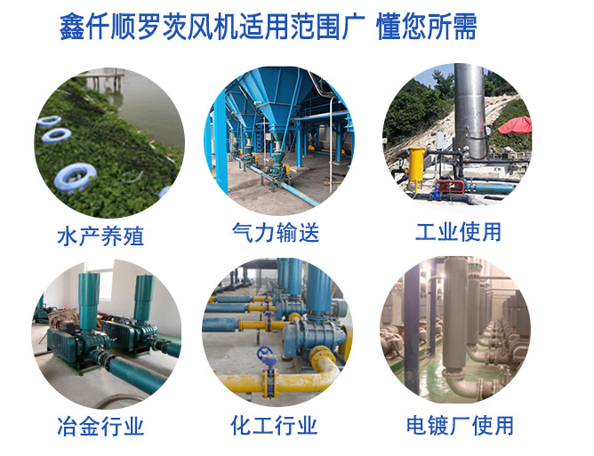高壓羅茨風(fēng)機運用范圍 高壓羅茨風(fēng)機(圖5)