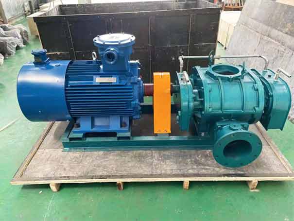 直連式羅茨風機-直連傳動式三葉羅茨鼓風機工廠實拍圖 直連傳動式三葉羅茨鼓風機(圖7)